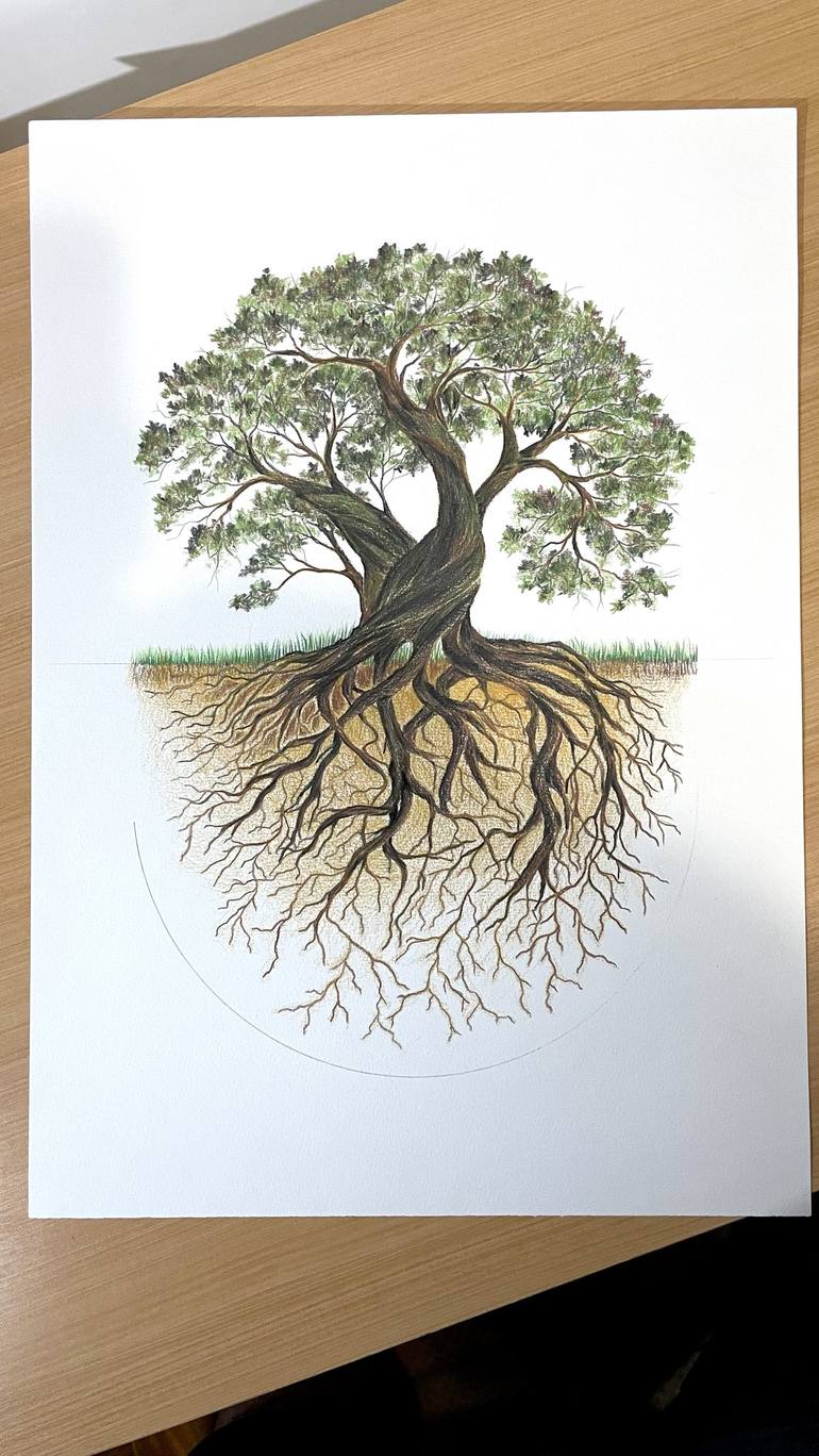Original Tree Drawing by Humberto C Pornaro