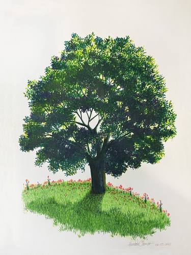 India's robust tree thumb