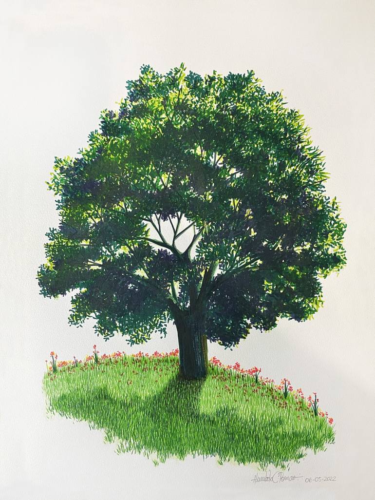 India's robust tree Drawing by Humberto C Pornaro | Saatchi Art