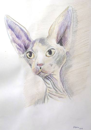 Original Cats Drawings by Josan Artista