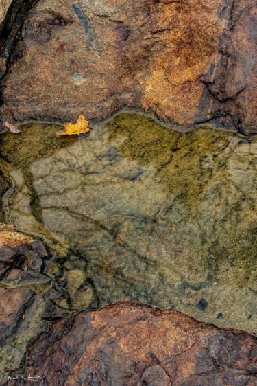 Original Conceptual Landscape Photography by Mark Holly
