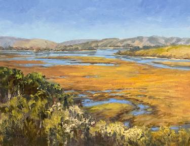 Walker Creek Marshes On Tomales Bay thumb