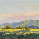 Afternoon Light on Temecula Hills by Tatyana Fogarty