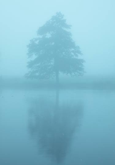 Original Landscape Photography by Natasha Durlacher