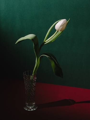 Tulip in a Vase - Limited Edition of 20 thumb