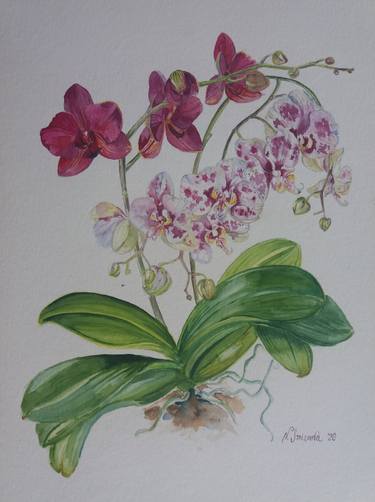 Original Expressionism Botanic Paintings by Natalya Smirnova