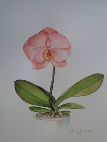 Print of Botanic Paintings by Natalya Smirnova