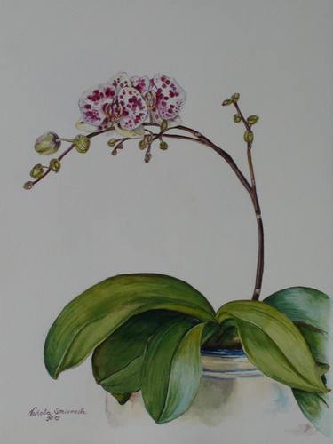 Print of Expressionism Botanic Paintings by Natalya Smirnova
