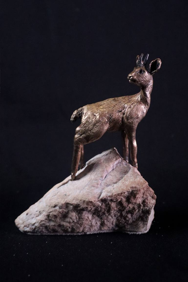 Original Animal Sculpture by Bibi Botha