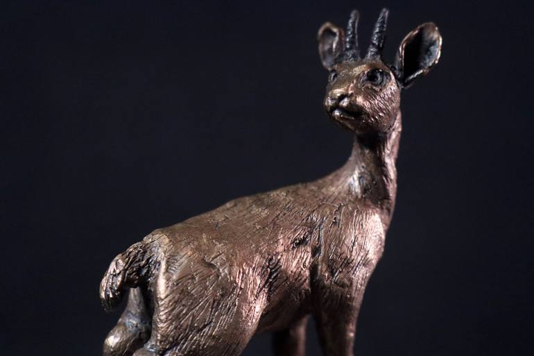 Original Conceptual Animal Sculpture by Bibi Botha