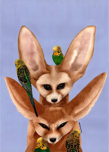 Foxes & budgerigars thumb