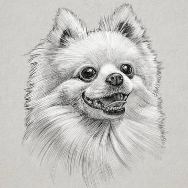 Print of Realism Animal Drawings by Toh Eng Chai