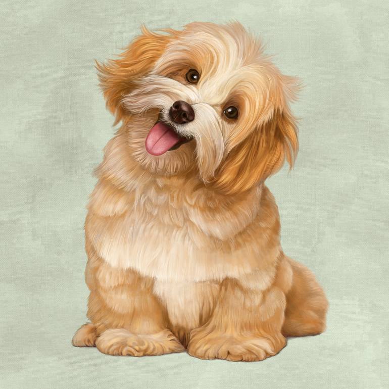 Havanese painting hot sale