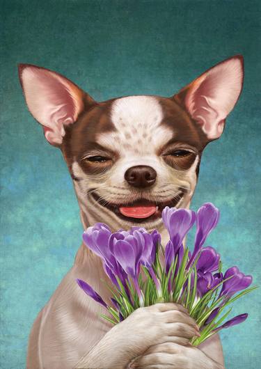 Dog 06, Smiling Chihuahua Holding Crocus thumb