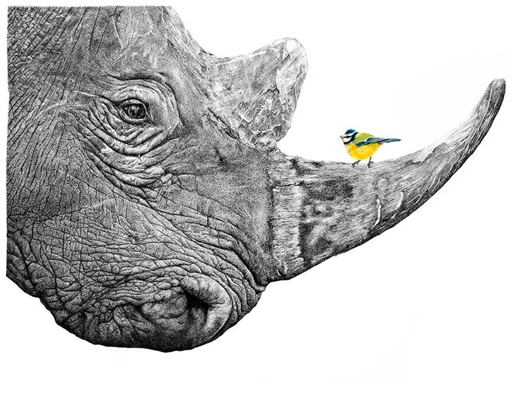 View in a Room Artwork