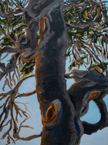 Print of Figurative Tree Paintings by David Jackson