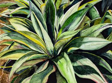 Print of Figurative Botanic Paintings by David Jackson