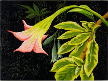 Original Figurative Floral Paintings by David Jackson