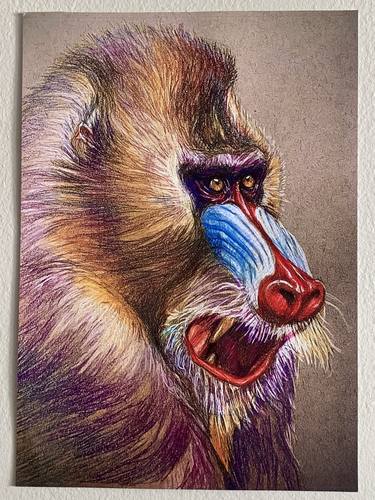 Original Realism Animal Drawing by Alex Filipov