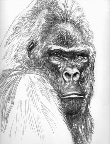 Original Realism Animal Drawing by Alex Filipov