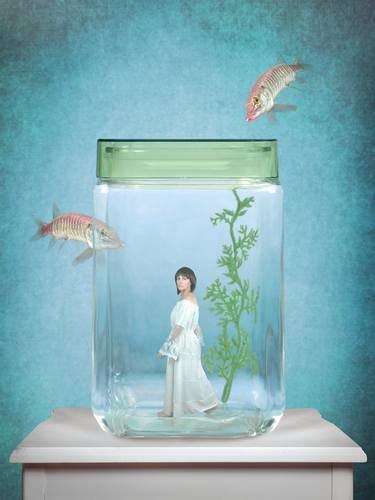 Original Conceptual Fish Photography by Jo Knight