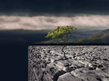 Original Conceptual Landscape Photography by Jo Knight