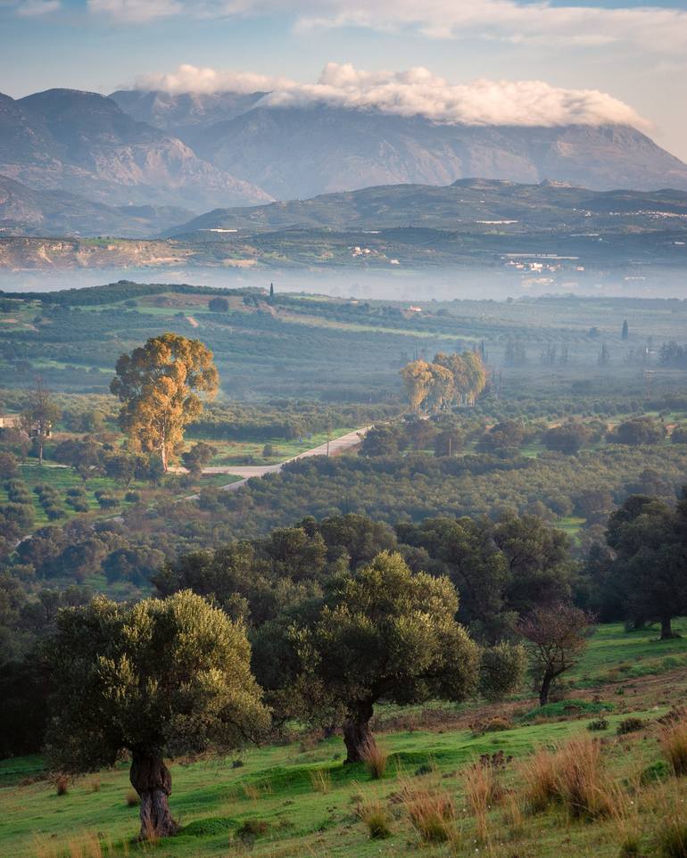 Messara Crete In Winter Limited Edition Of 25 Photography By Malcolm Wray Saatchi Art