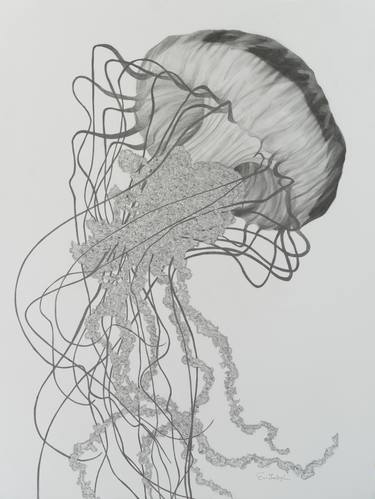 Jellyfish III (framed) thumb