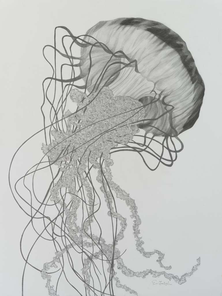 cool jellyfish drawings