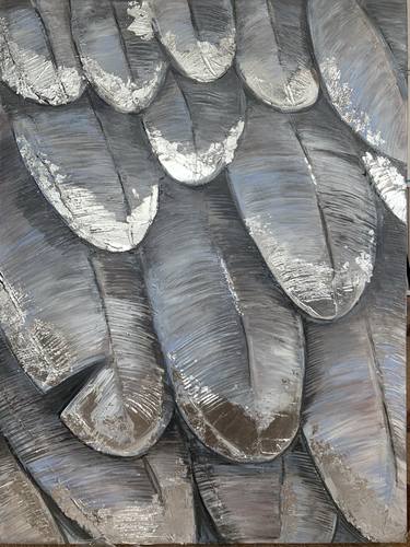 Picture of feathers. thumb