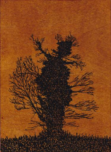 Original Figurative Tree Drawings by William Lindley