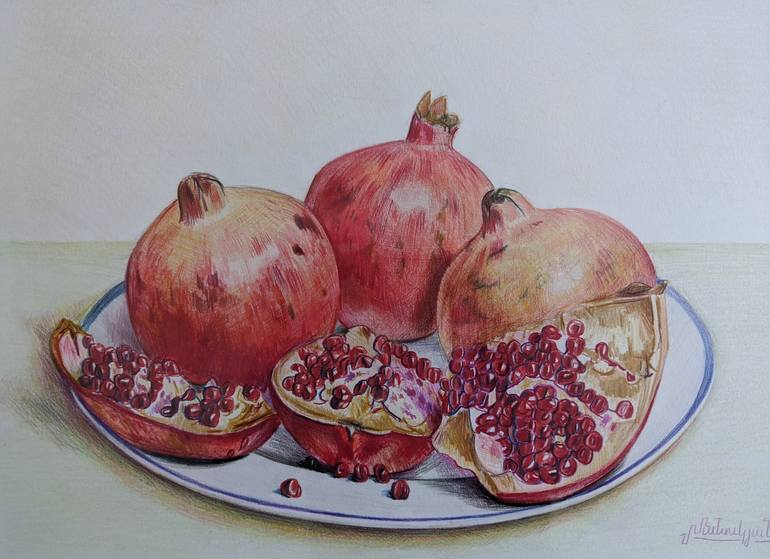 pomegranate pencil drawing