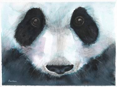 Original Animal Paintings by Linda Vousden