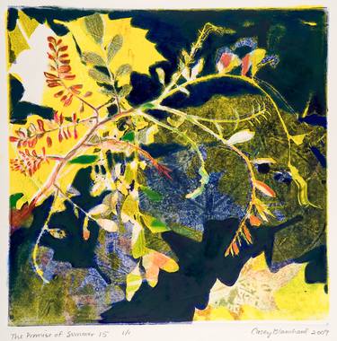 Original Abstract Nature Printmaking by Casey Blanchard