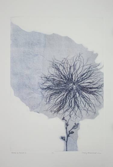 Original Floral Printmaking by Casey Blanchard