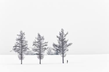 Original Fine Art Landscape Photography by Rachel Dulson