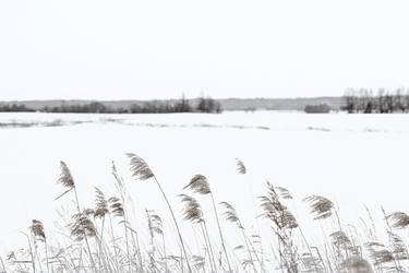 Original Fine Art Landscape Photography by Rachel Dulson