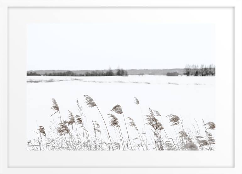 Original Fine Art Landscape Photography by Rachel Dulson