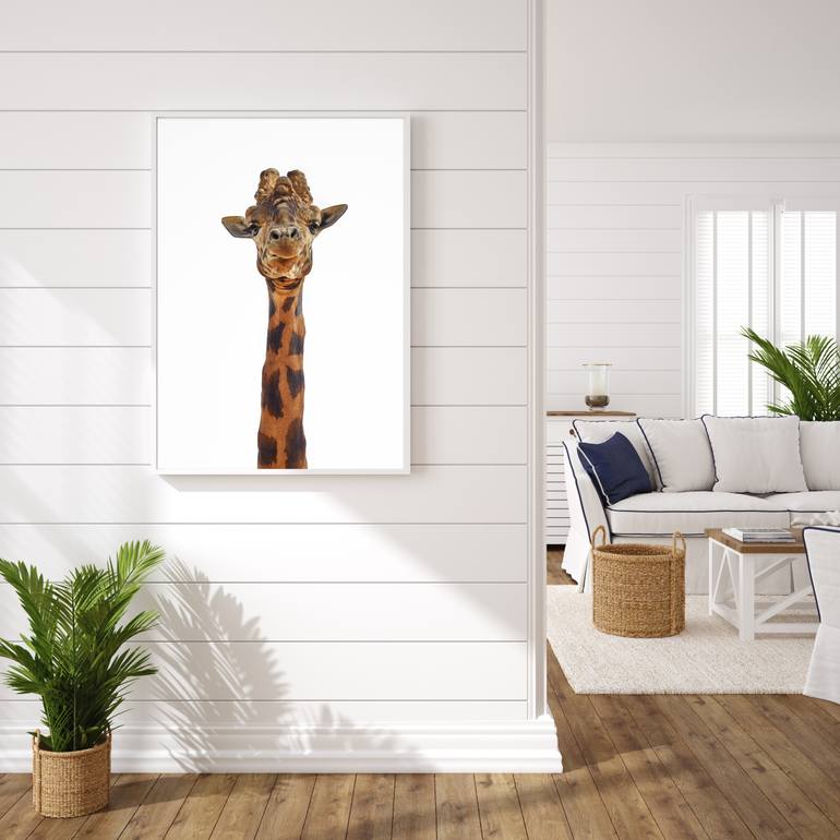 Original Other Animal Photography by Rachel Dulson