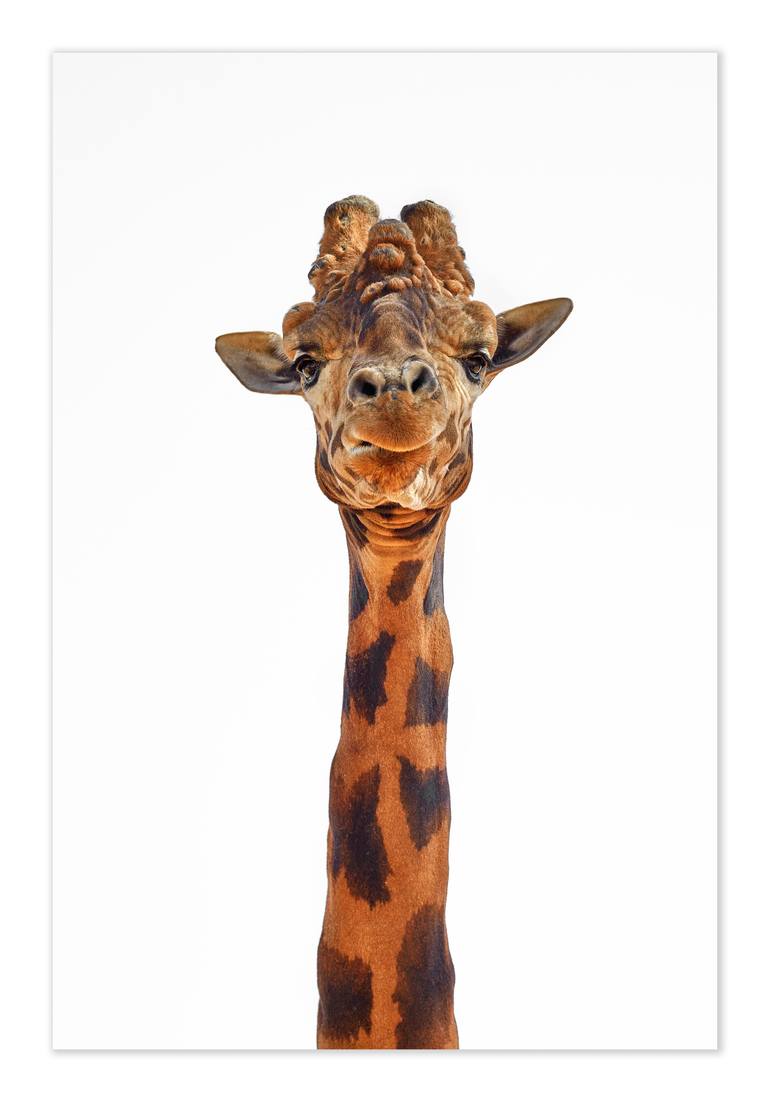 Original Other Animal Photography by Rachel Dulson