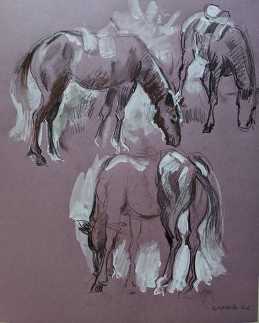 Original Illustration Horse Drawings by Avetis Mkrtchyan