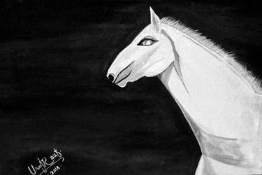 Original Fine Art Horse Paintings by Urooj Rauf