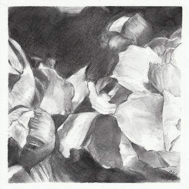 Original Abstract Floral Drawings by Chloe Jean Brown