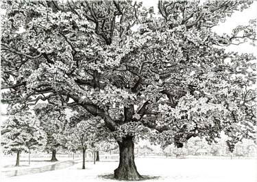 Original Figurative Tree Drawings by Andrew Mitchell