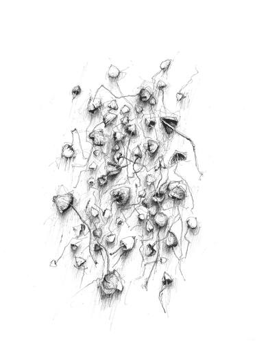 Print of Fine Art Nature Drawings by Arta Garanca