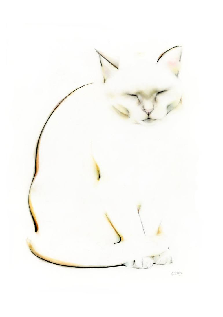 Zen Cat Drawing by Kellas Campbell | Saatchi Art