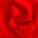 Red - Limited Edition of 40 by Richard Skelton