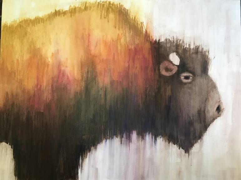 Bison Drawing By Jeanne Goodman | Saatchi Art