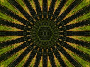 Evergreen forest Kaleidoscope thumb