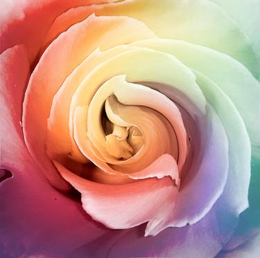 Rainbow rose swirl thumb